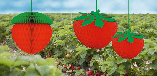 Startseite - festartikel-online.de